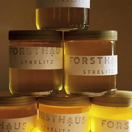 Forsthaus Strelitz Fogadó Neustrelitz